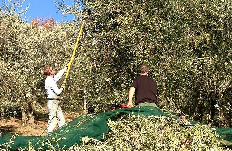 Top Agriturismo Tuscany